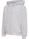 hmlJR FRAME SWEAT ZIP HOODIE