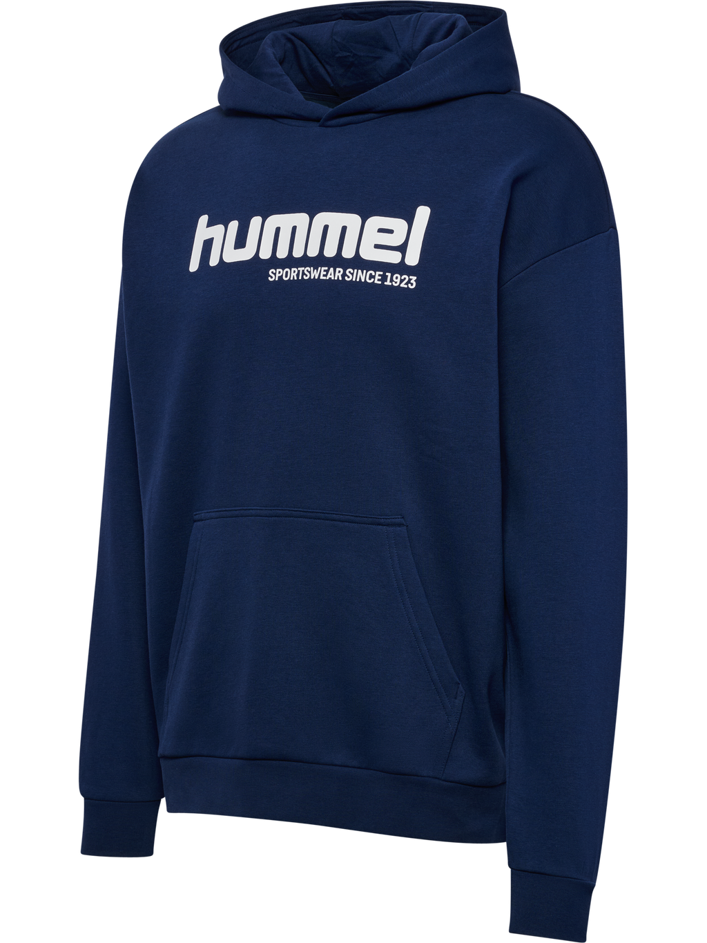 hmlSW GRAPHIC HOODIE