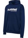 hmlSW GRAPHIC HOODIE