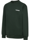 hmlJR FRAME CREWNECK