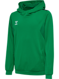 hmlAUTHENTIC PL HOODIE KIDS
