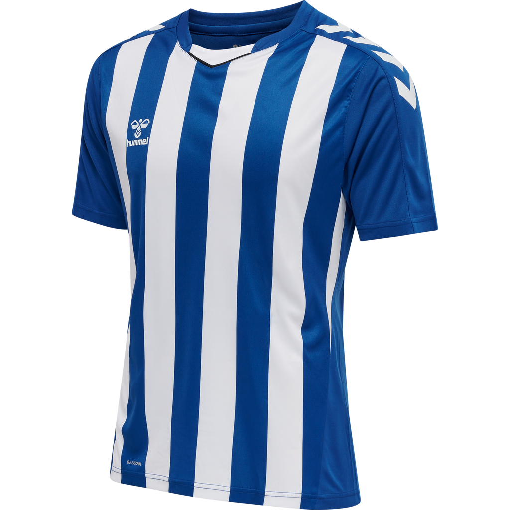 hmlCORE XK STRIPED JERSEY S/S